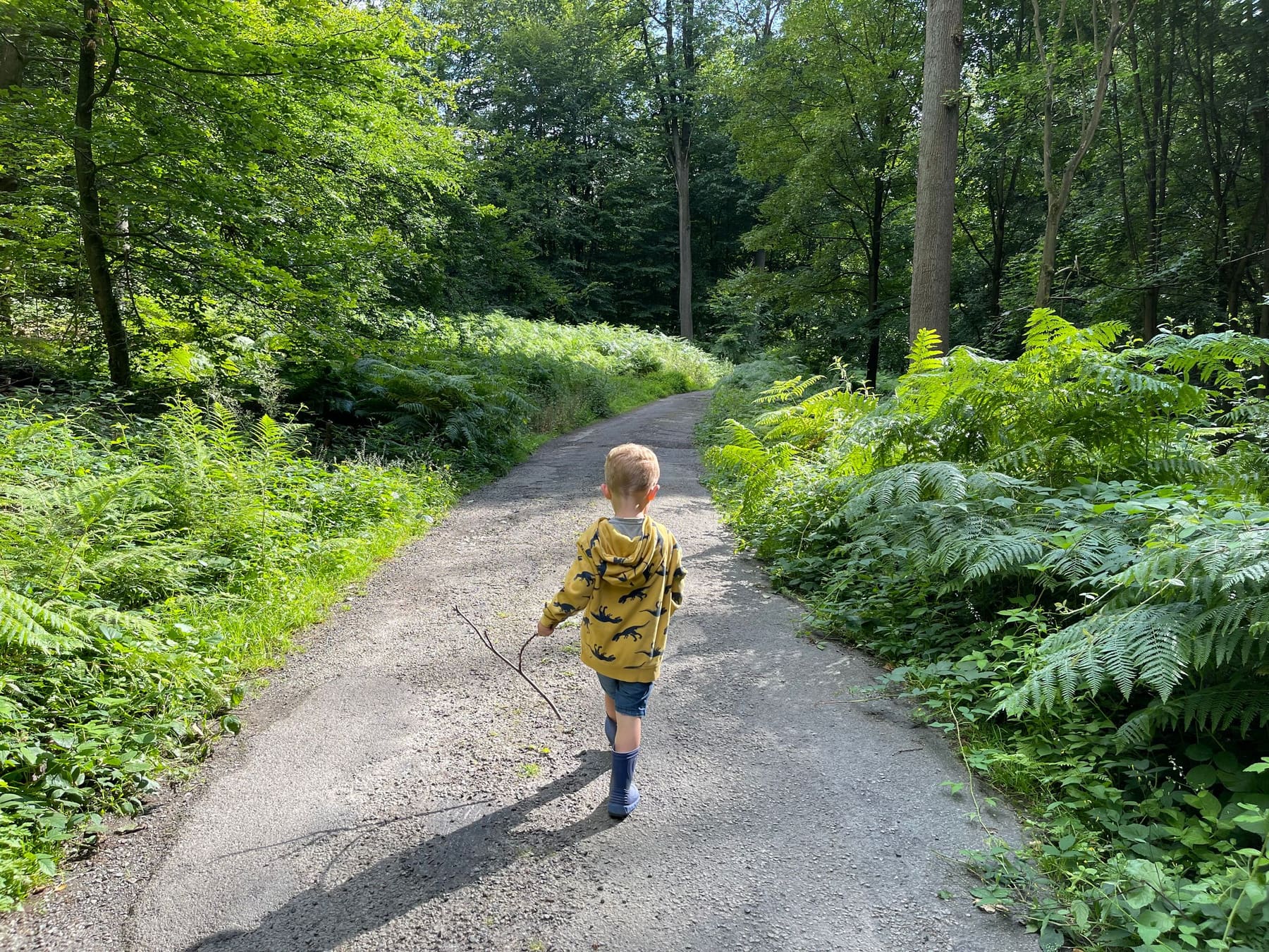 A child walking along a green forest trail